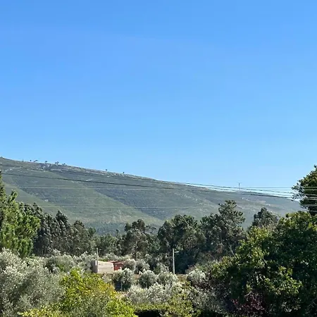 Casa Da Tília Casa de Férias