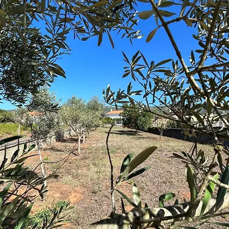 Casa Da Tilia Vale Vazao
